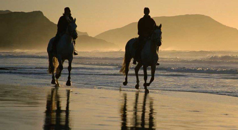 horse riding beach cascais, surf, activities