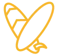 surf lessons icon